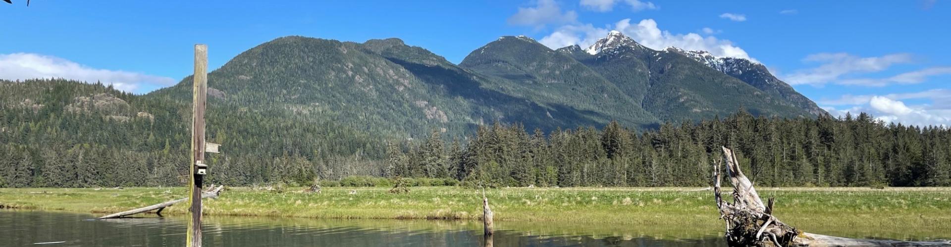 Salmon River Estuary